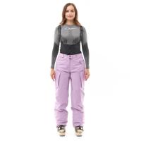 Dragonfly Штаны горнолыжные утепленные Gravity 2025 Woman Purple в Екатеринбурге